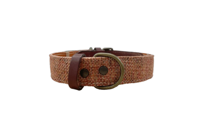 Collar para perros Naranja